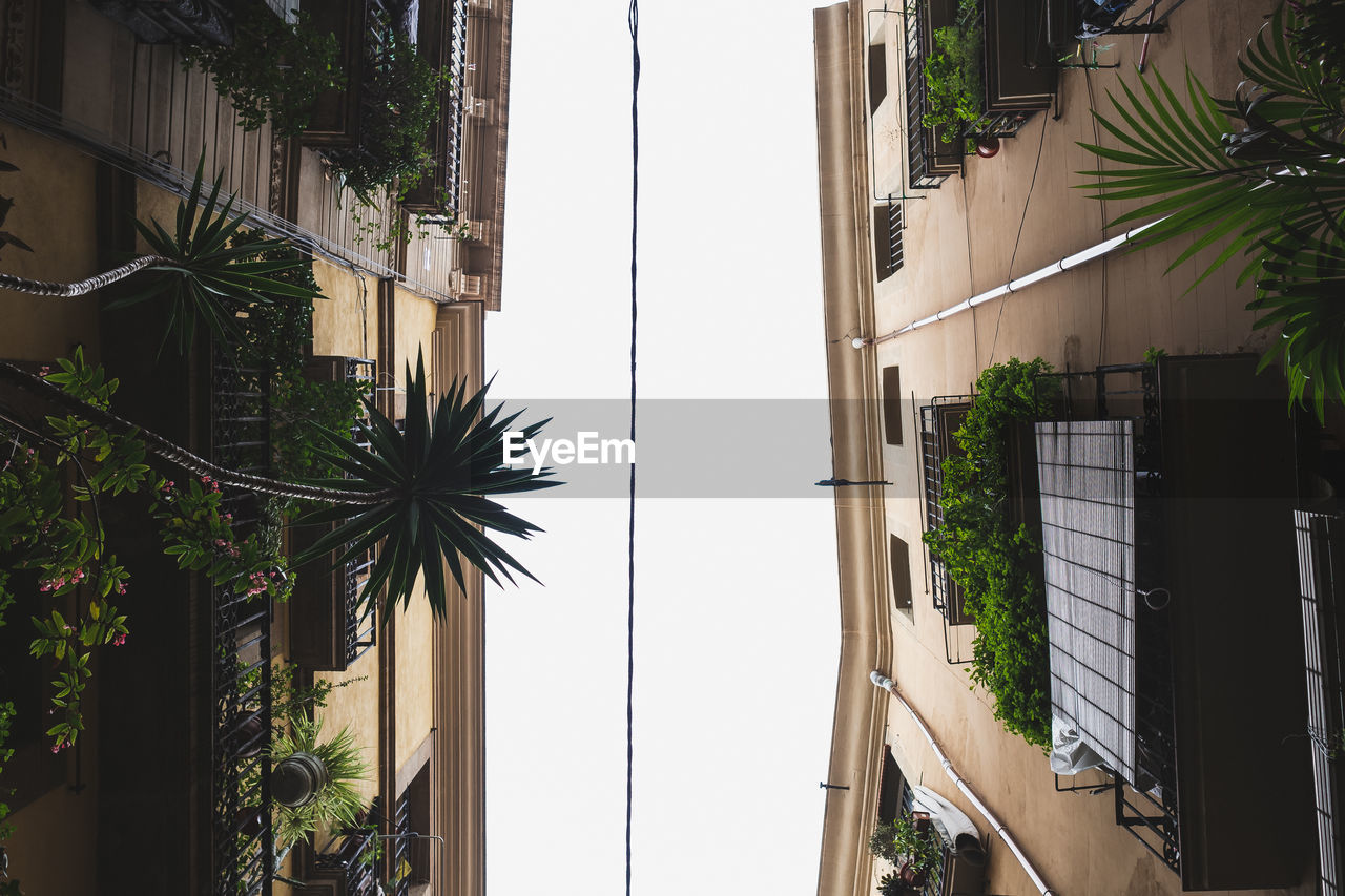 Low angle view of palm trees by building against sky