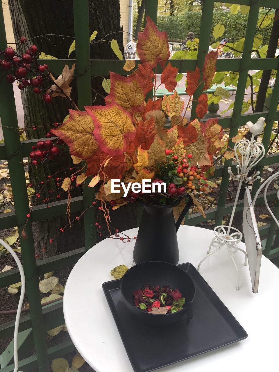 CLOSE-UP OF FLOWERS IN POT ON TABLE