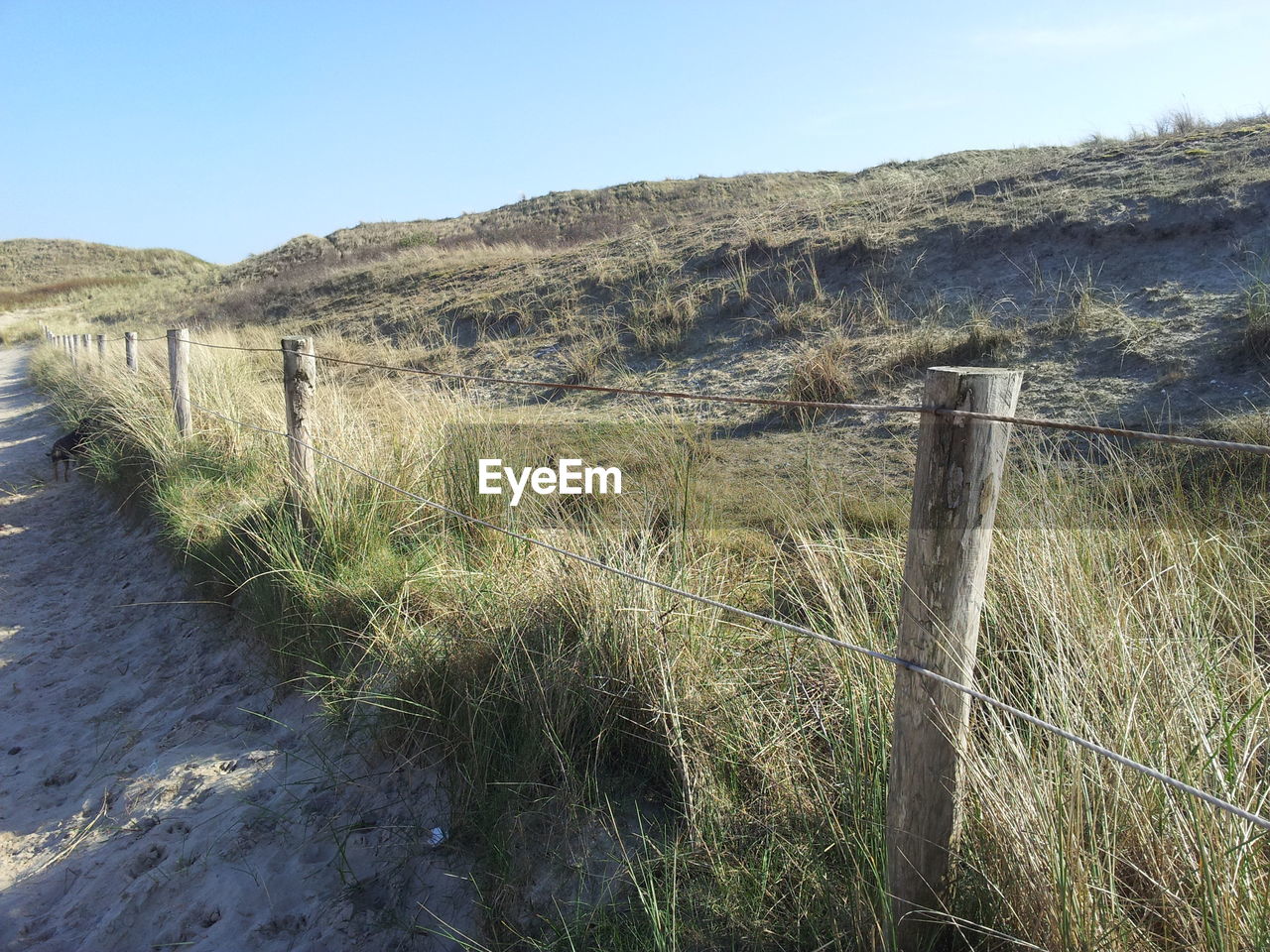 Fence by grass growing at beach