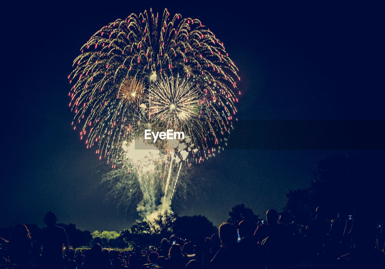 Crowd against sky with illuminated firework display at night