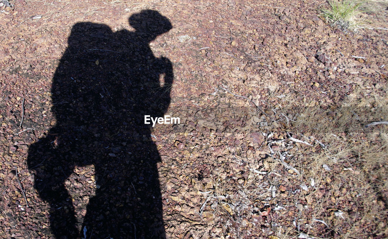 REAR VIEW OF MAN WITH SHADOW OF PERSON STANDING ON GROUND