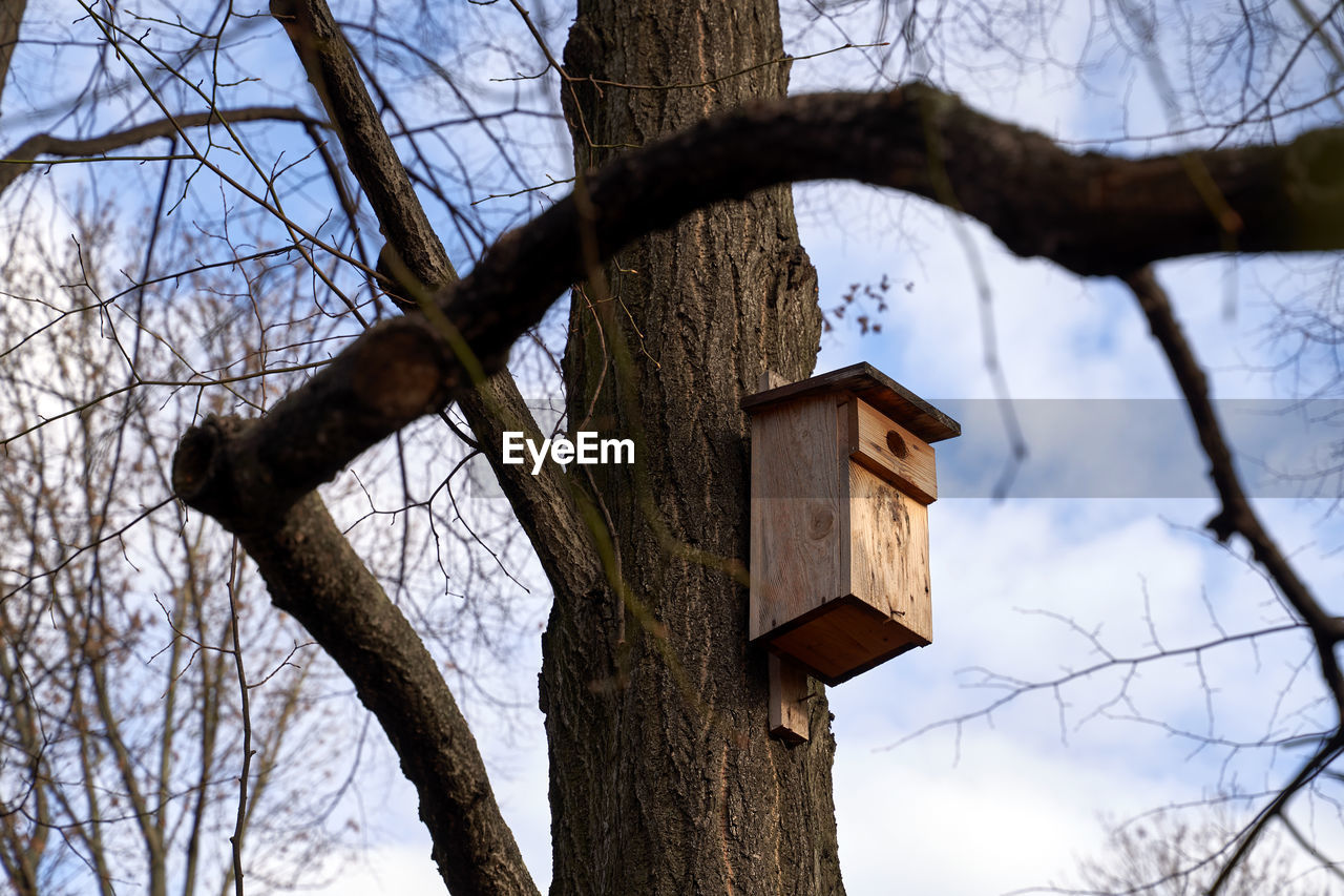 LOW ANGLE VIEW OF BIRDHOUSE ON TREE TRUNK