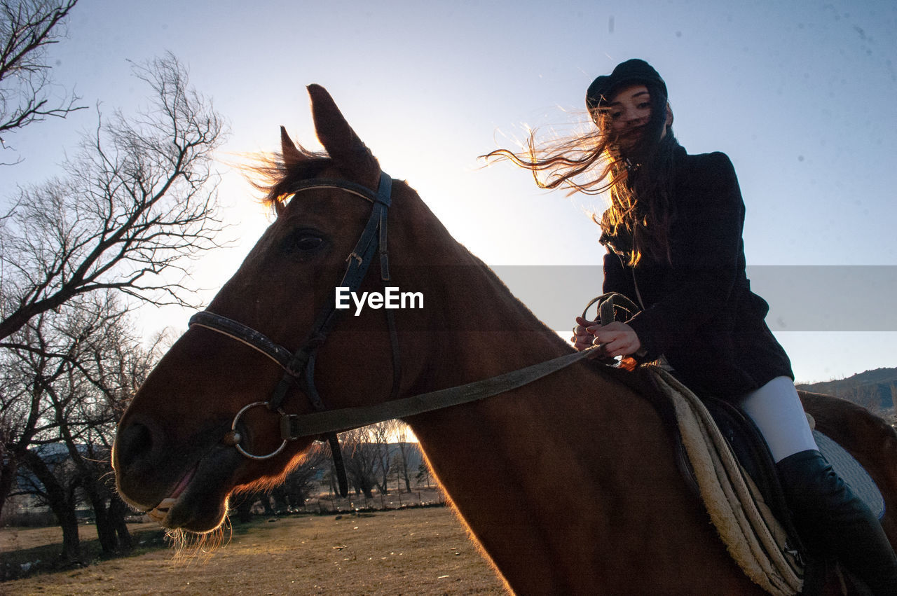 Low angle portrait of woman riding horse against clear sky