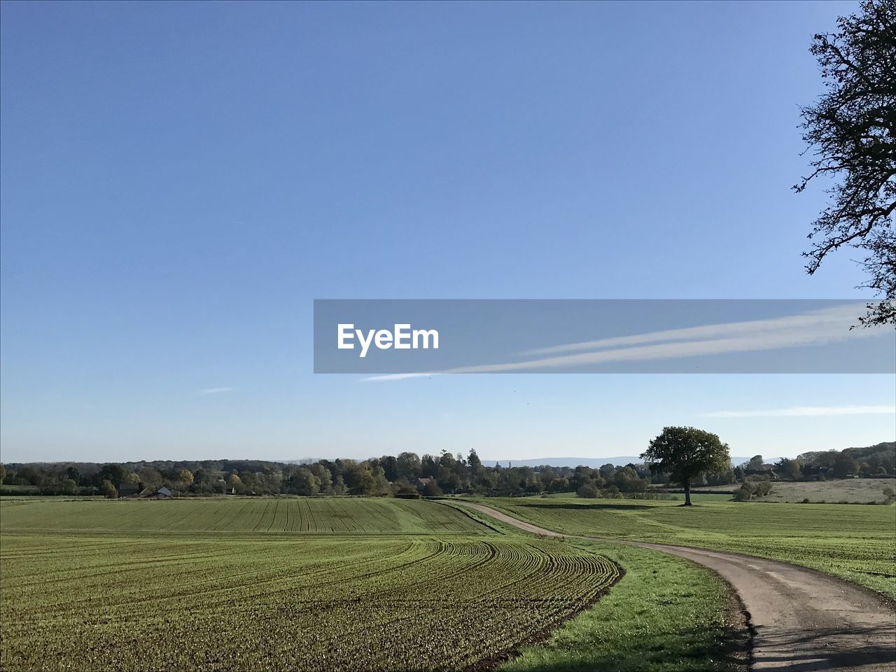 SCENIC VIEW OF FARM AGAINST SKY