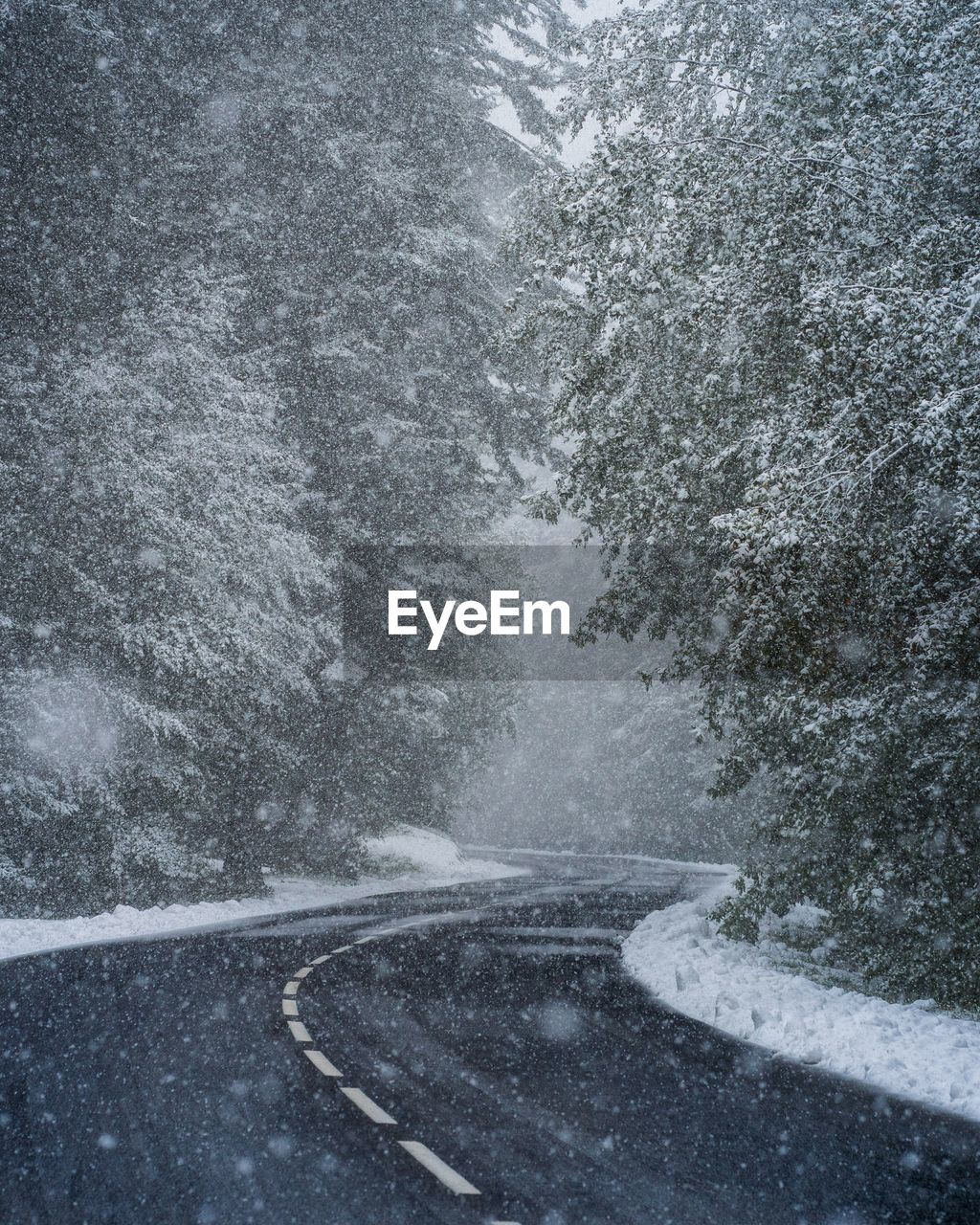 View of snow covered road