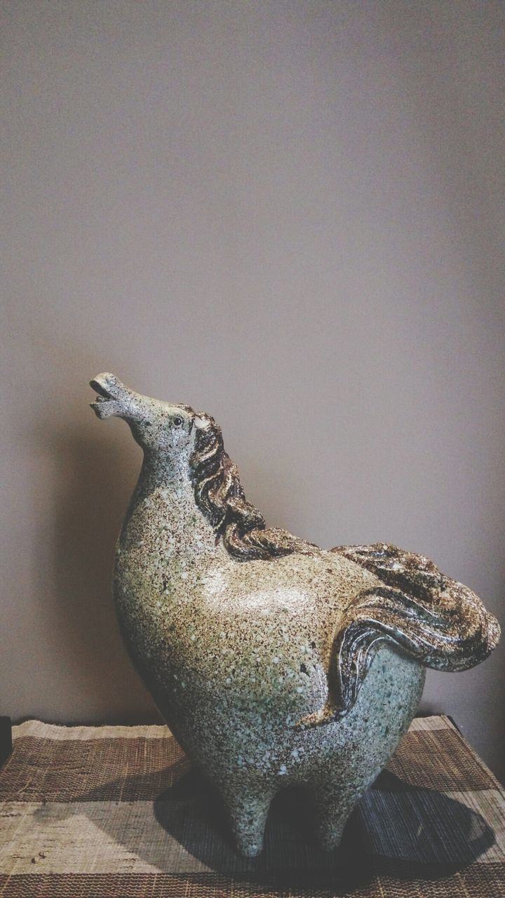 CLOSE-UP OF LIZARD
