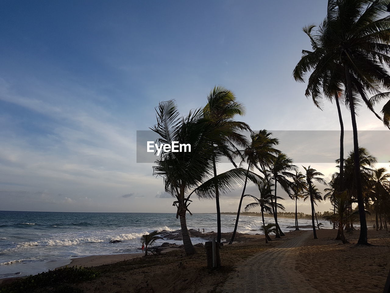 SCENIC VIEW OF BEACH