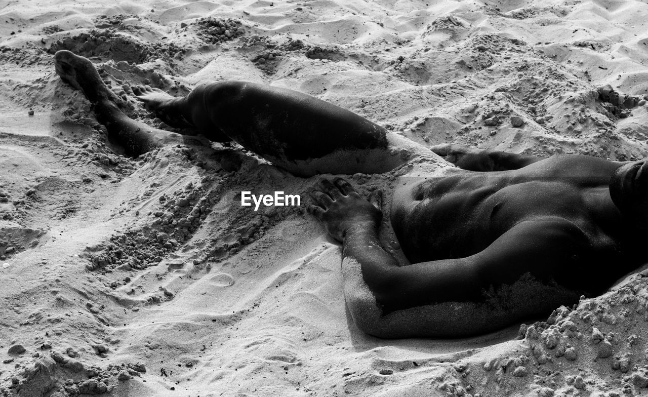 black and white, monochrome, sea, land, sand, monochrome photography, beach, nature, water, sea lion, lying down, relaxation, day, seal, high angle view, rock, one person, outdoors, leisure activity, lifestyles, sunlight, animal, animal wildlife