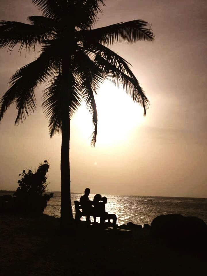 SILHOUETTE PALM TREES AT SUNSET