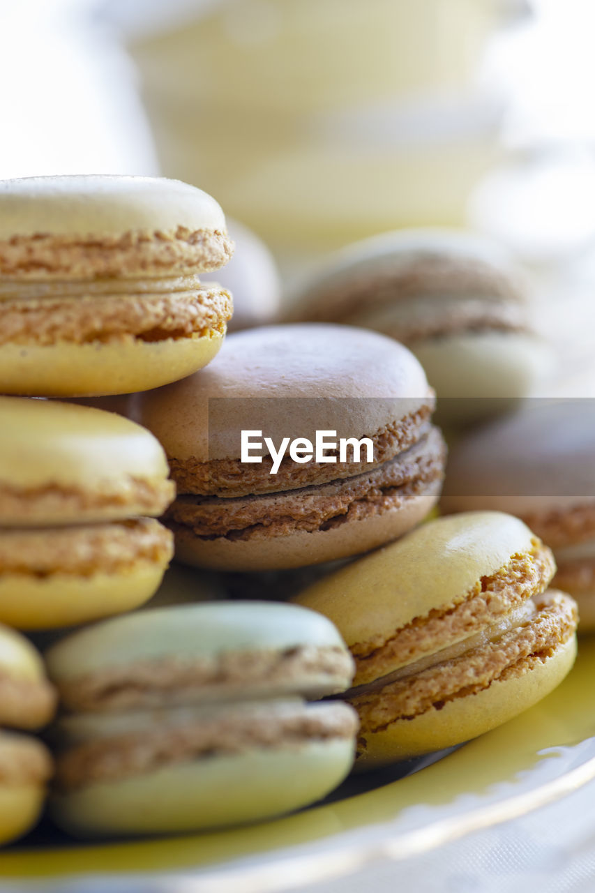 CLOSE-UP OF COOKIES ON PLATE