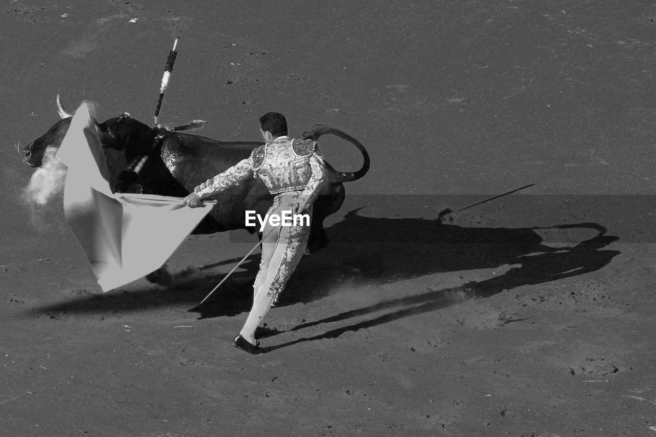 High angle view of bullfighter with bull on stadium