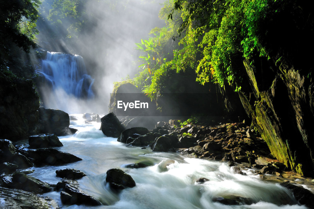 WATERFALL IN FOREST