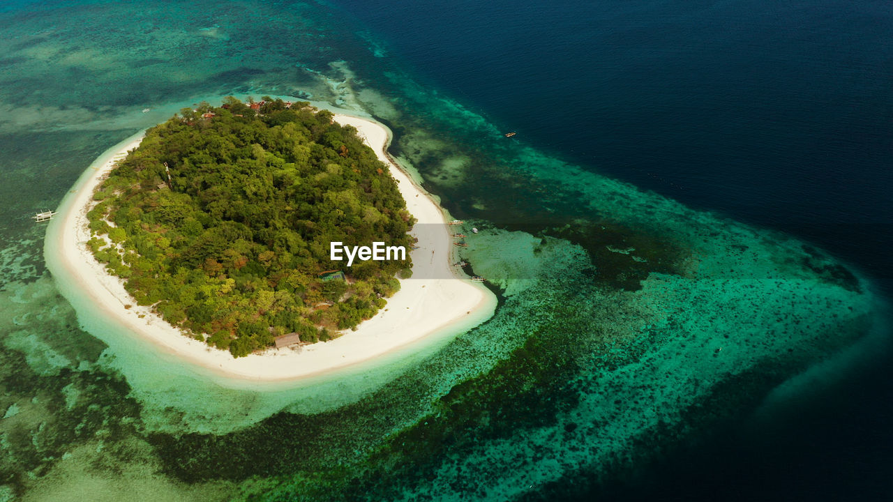 Aerial view of island in sea