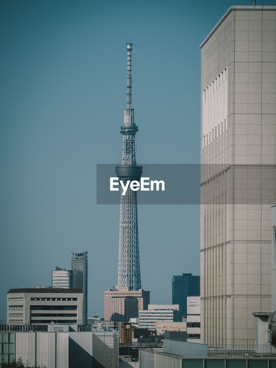 Low angle view of skyscrapers