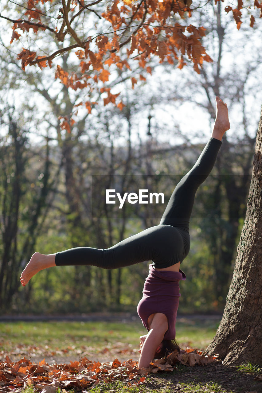 Full length of woman with exercising by tree in park