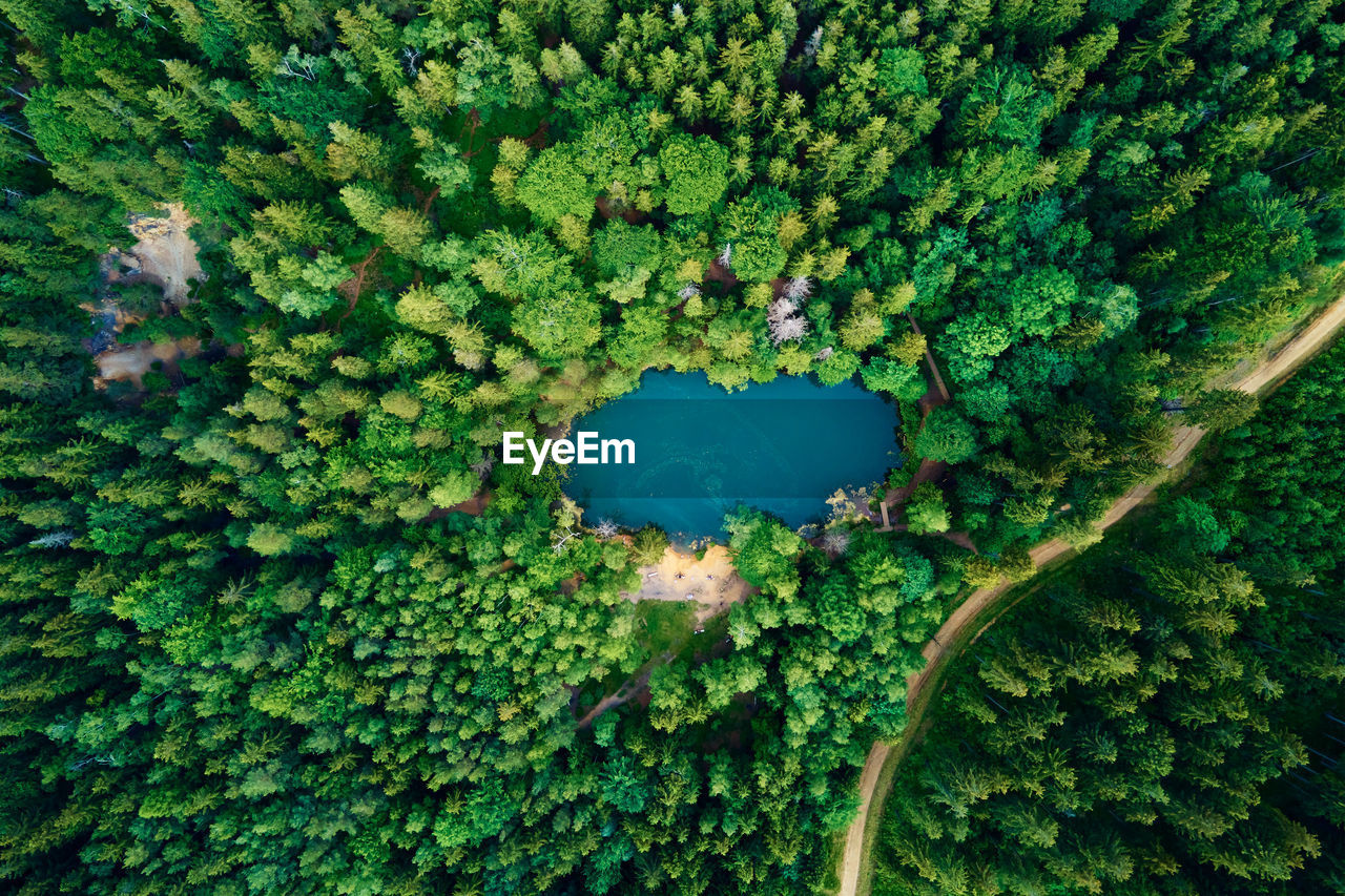 Aerial view of blue colored forest lake in poland