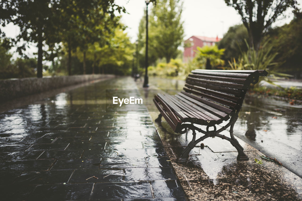 EMPTY BENCH IN PARK DURING RAINY DAY