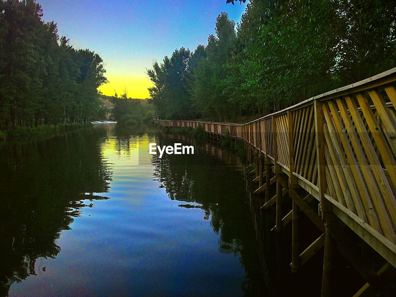 VIEW OF CANAL ALONG TREES