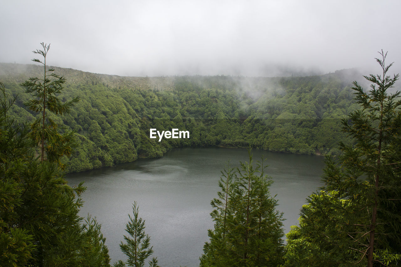 SCENIC VIEW OF FOREST BY MOUNTAINS AGAINST SKY