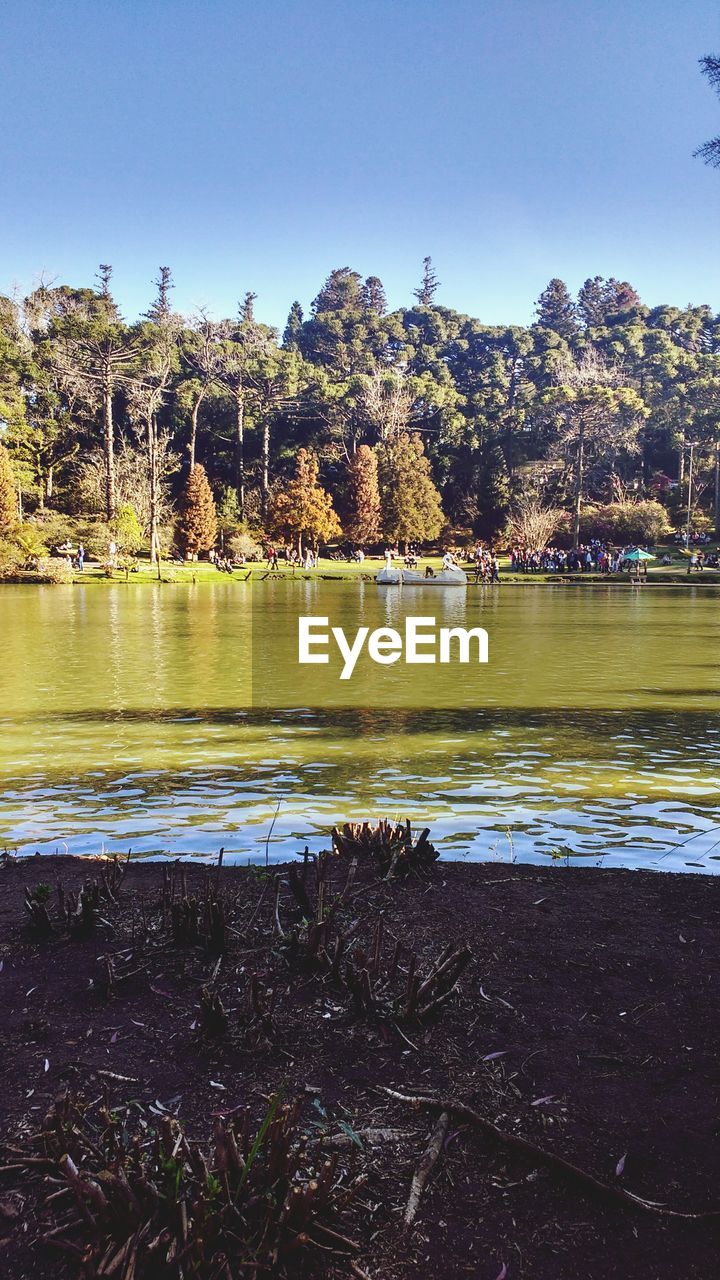 SCENIC VIEW OF LAKE AGAINST TREES