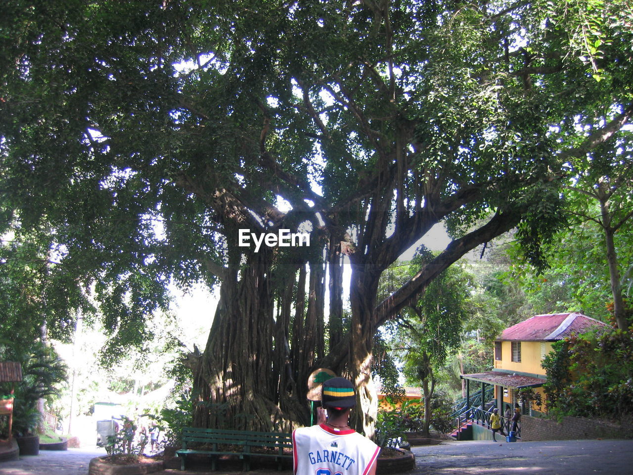 VIEW OF TREES AGAINST BUILDING