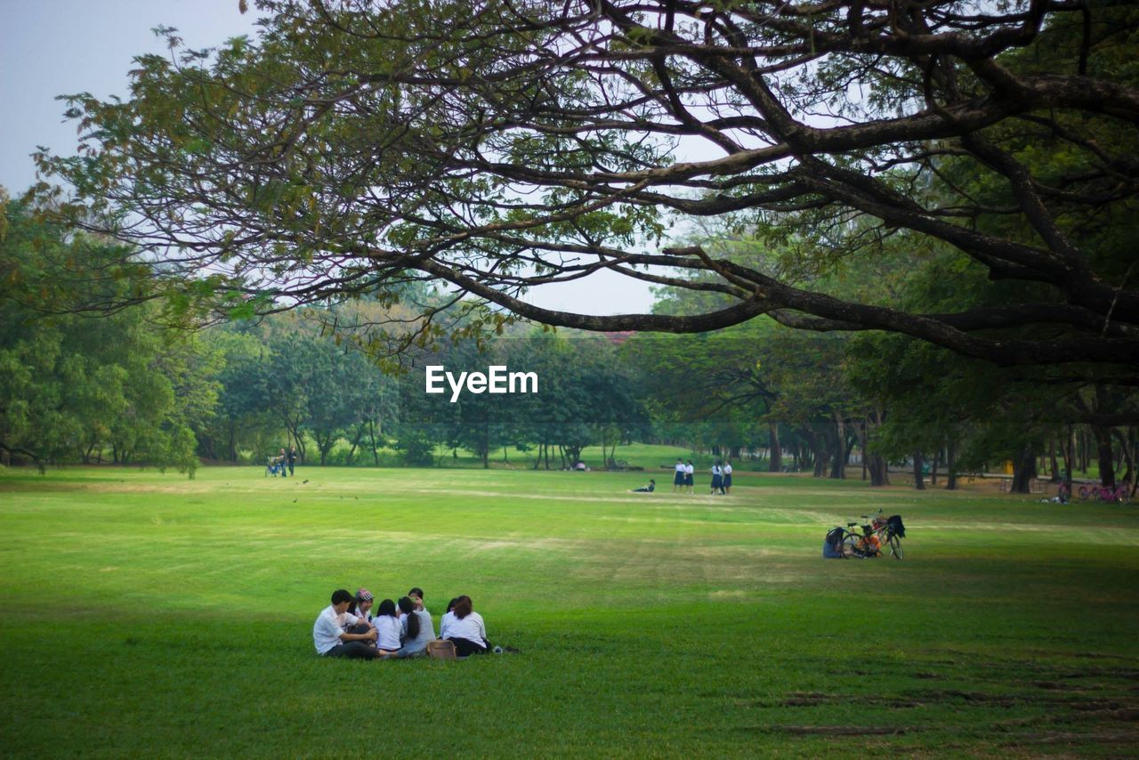 People in park