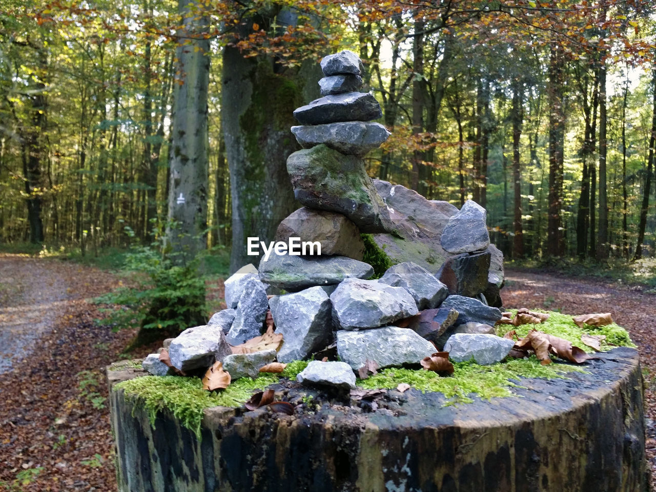 Cairn in forest