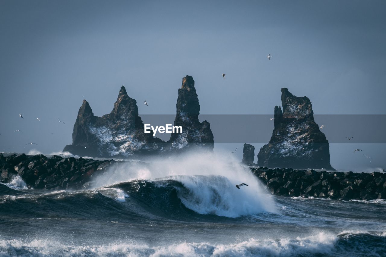 Birds flying over sea against sky