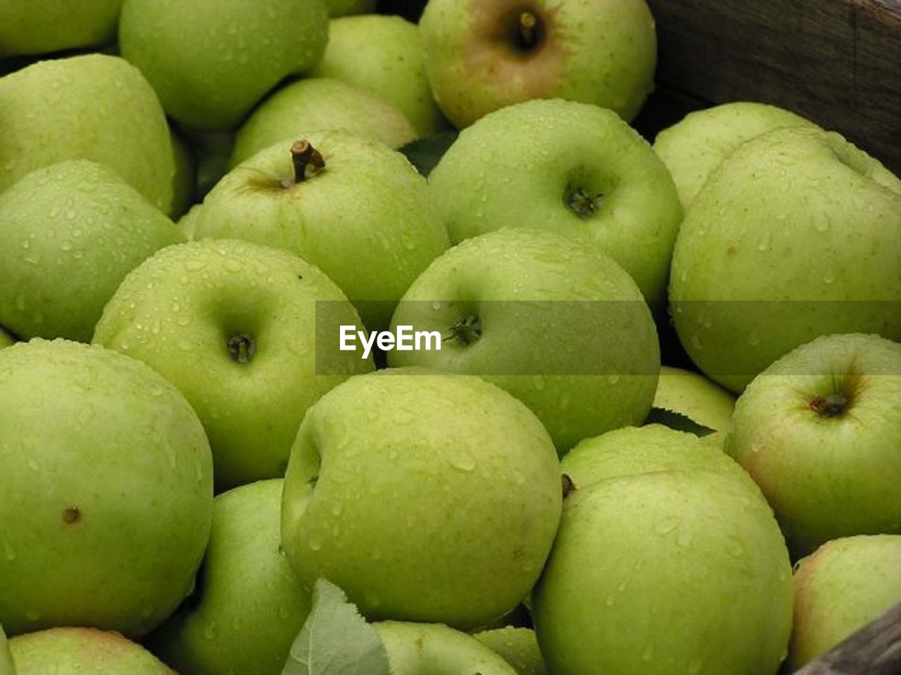 Wet granny smith apples in wicker basket