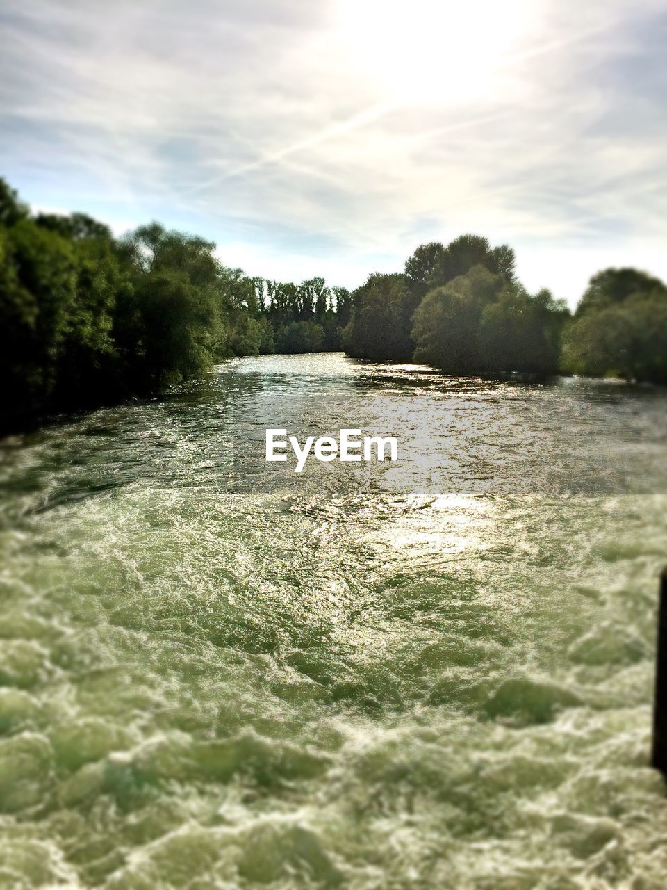 River flowing through forest