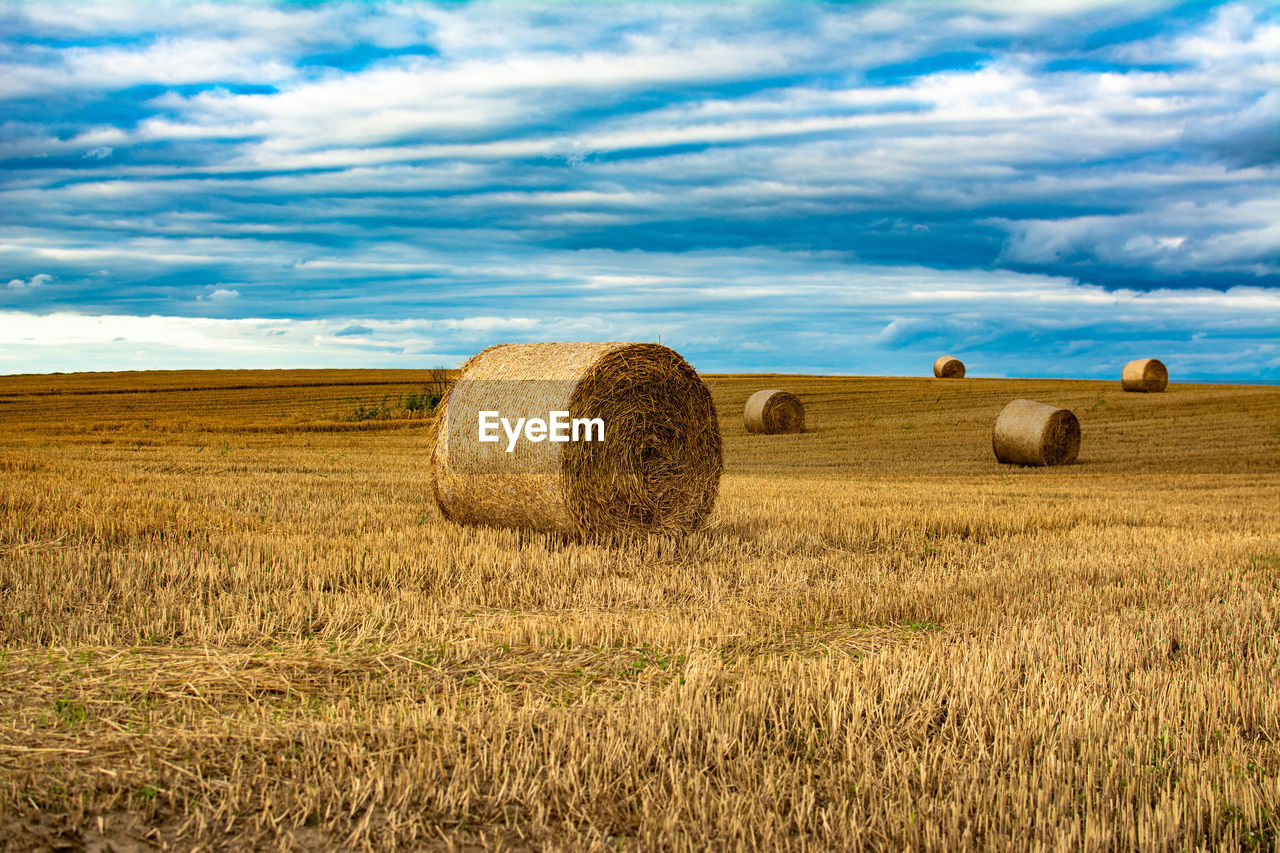 Hay bales on field against sky