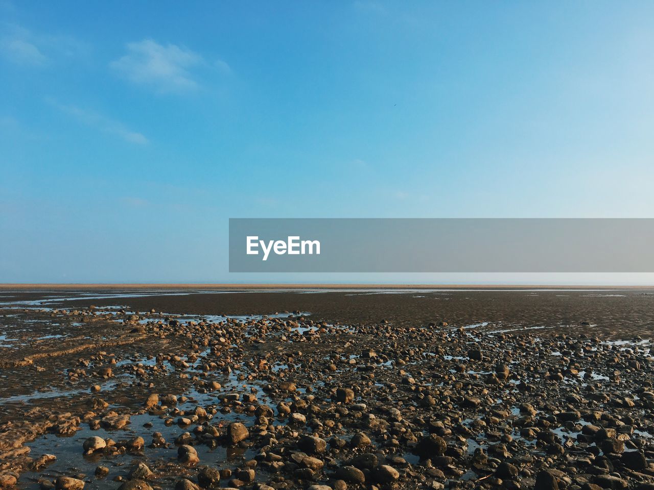 Scenic view of beach against clear sky