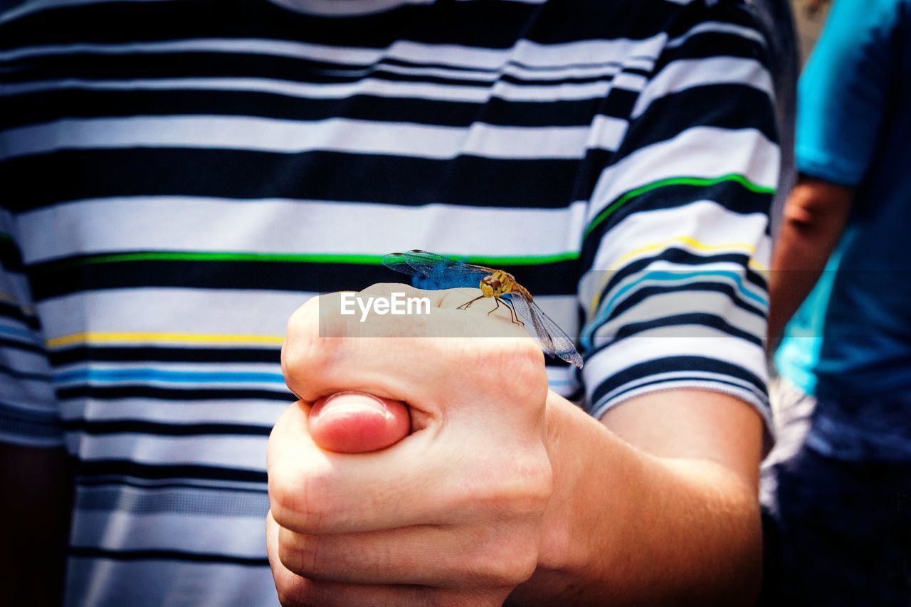 Midsection of boy holding dragonfly