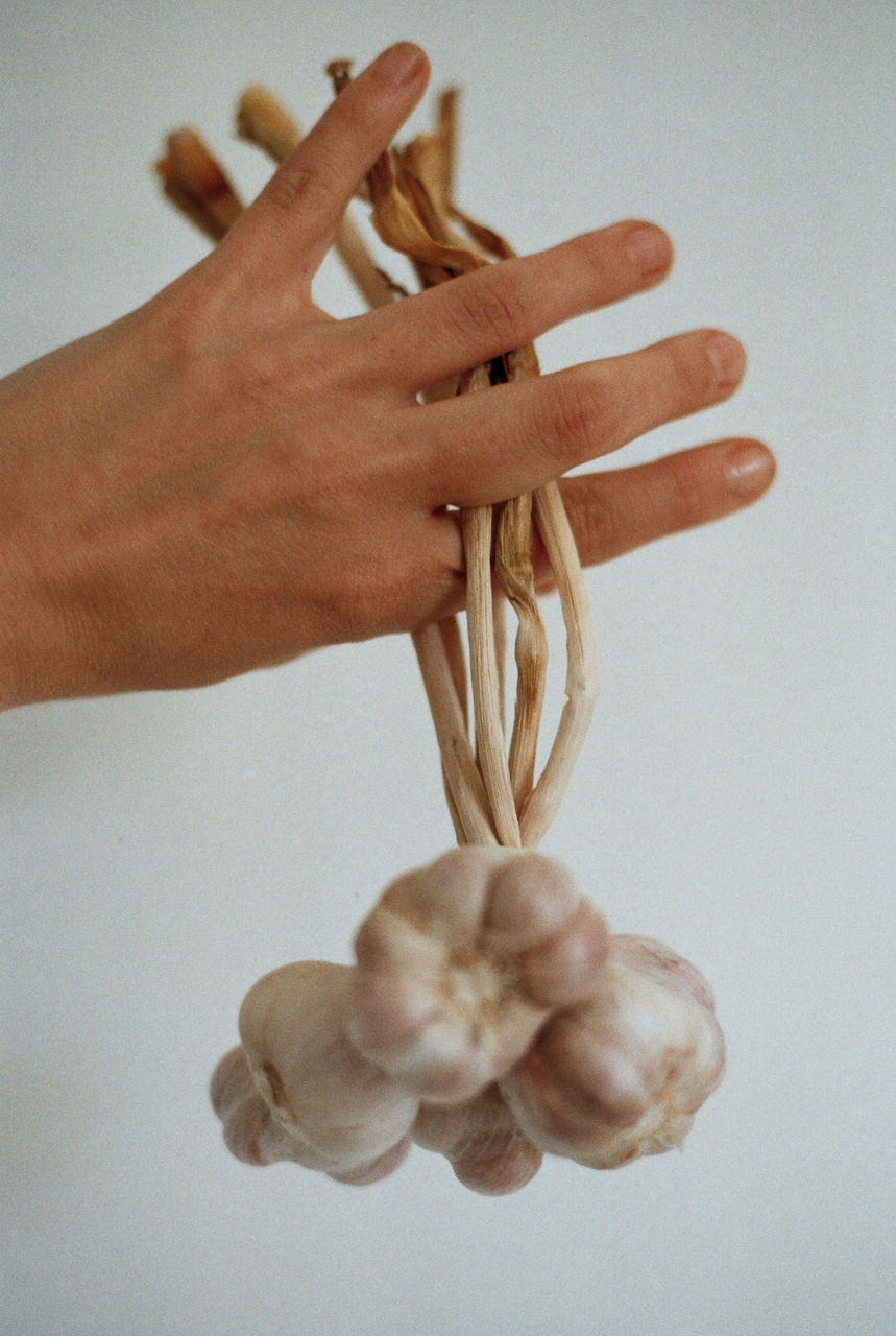 Cropped hand of person holding garlic against wall