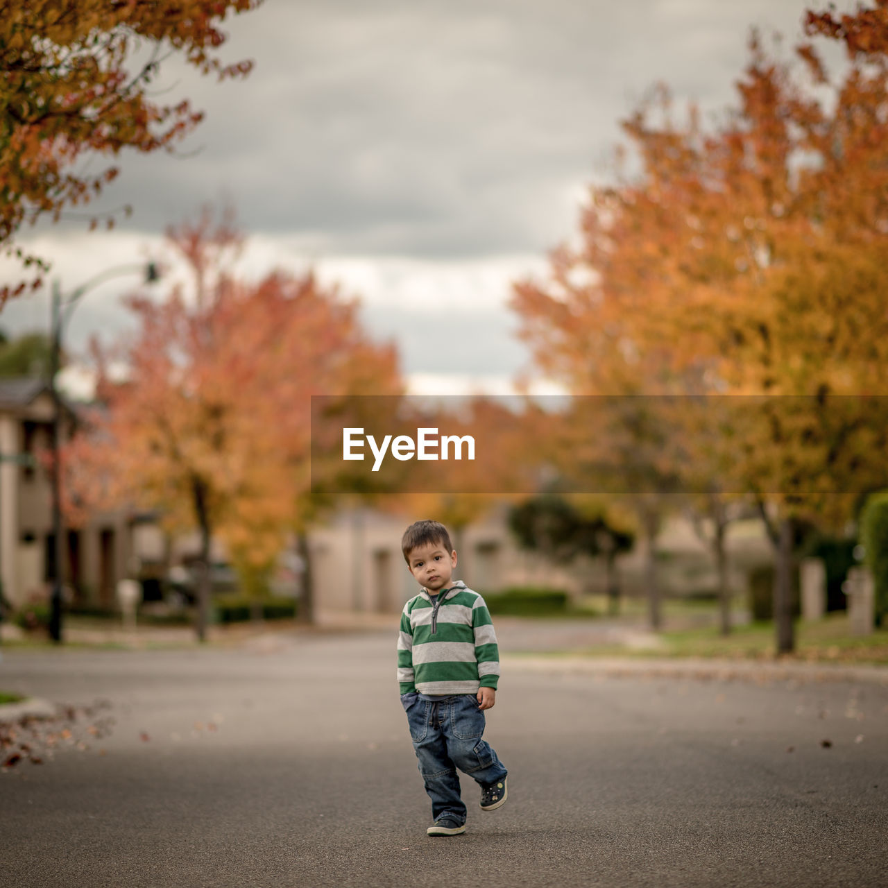 Boy standing on street amidst trees during autumn