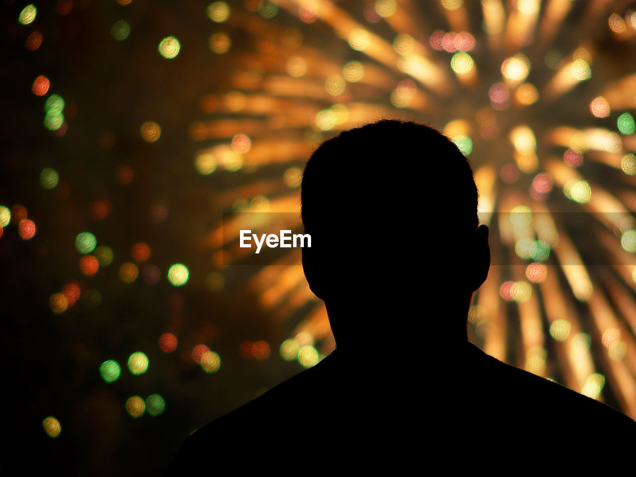 Rear view of silhouette man against firework display at night