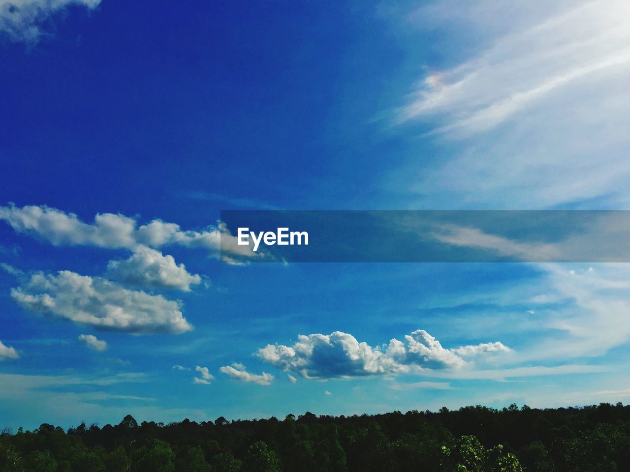 TREES ON LANDSCAPE AGAINST CLOUDY SKY