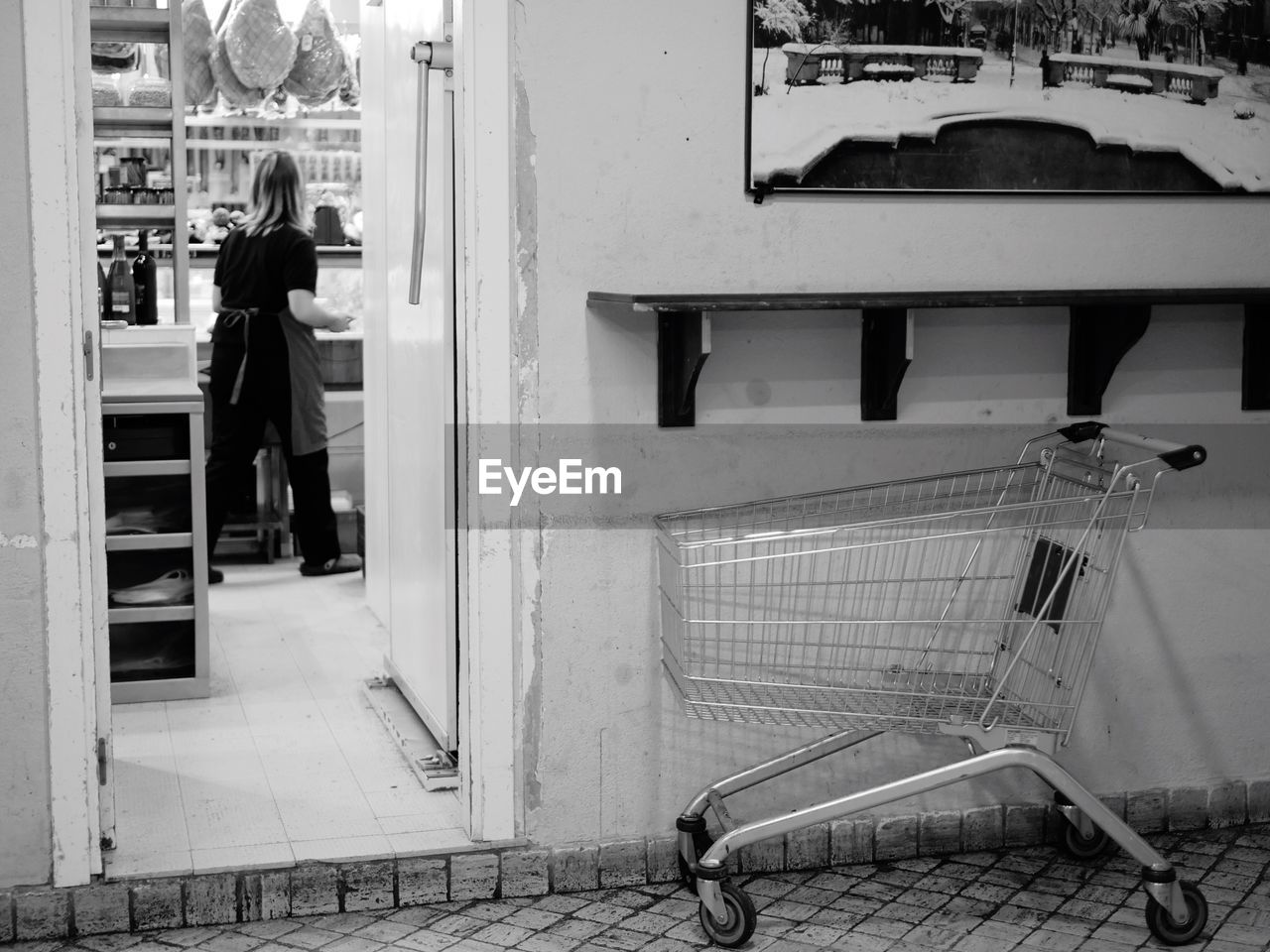 Shopping trolley and woman in a shop