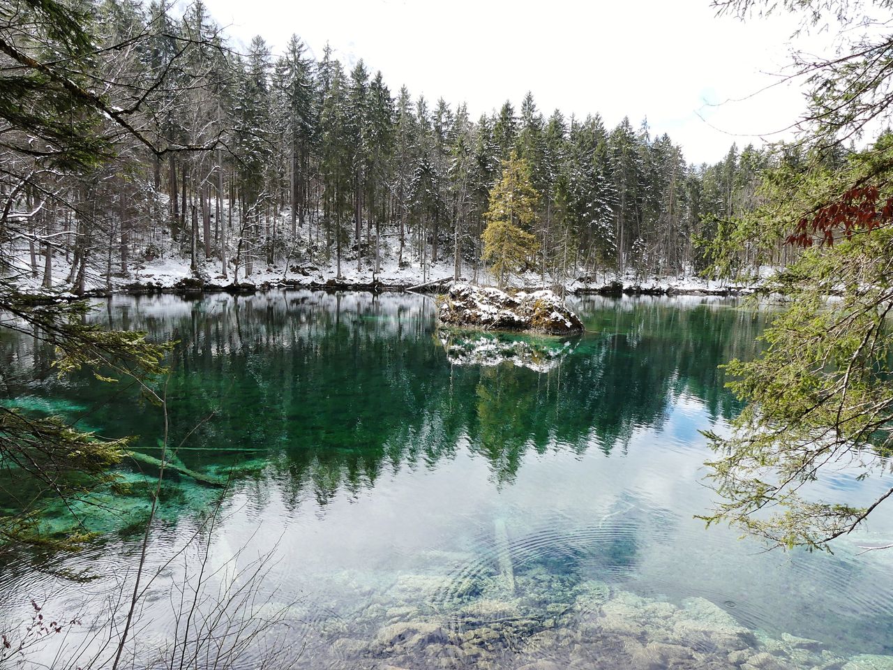 Scenic view of lake in forest against sky