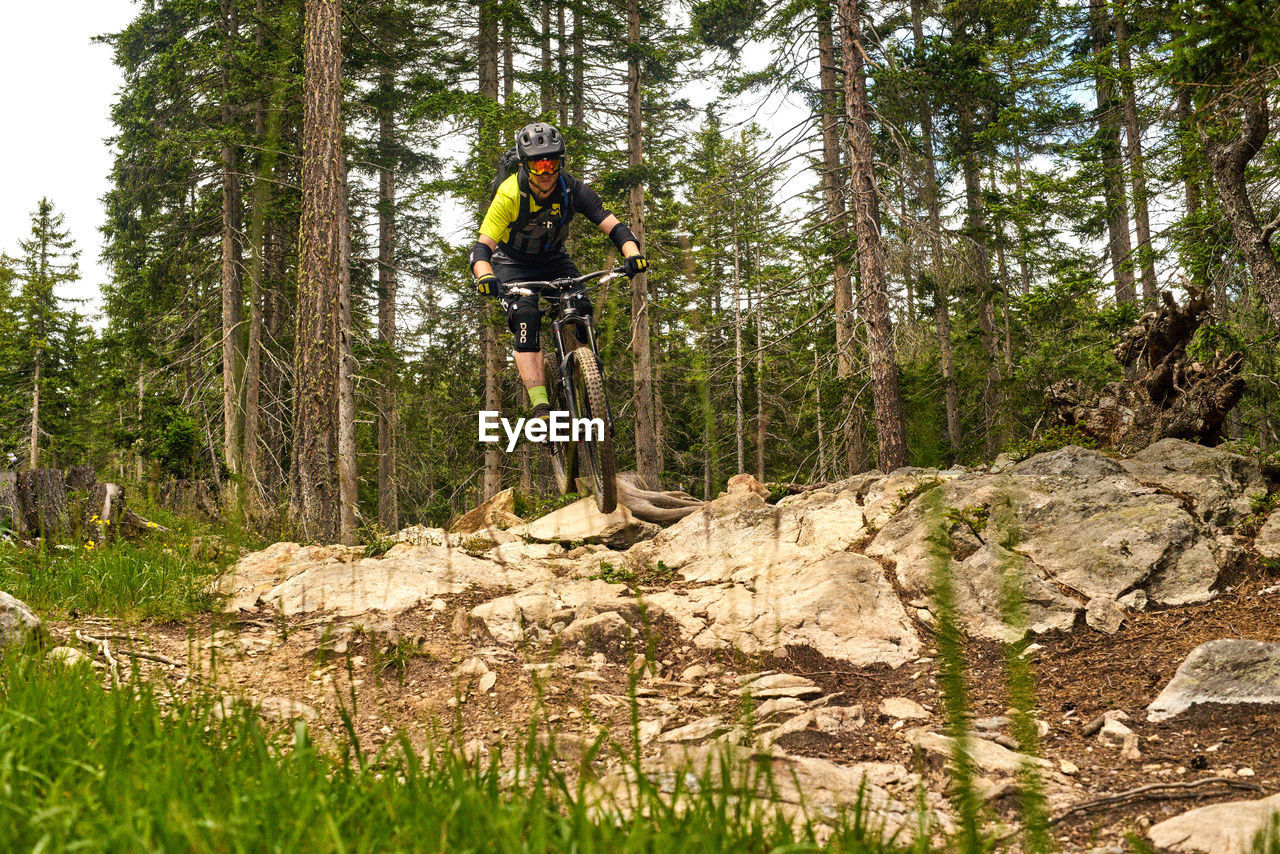 PERSON RIDING BICYCLE IN FOREST