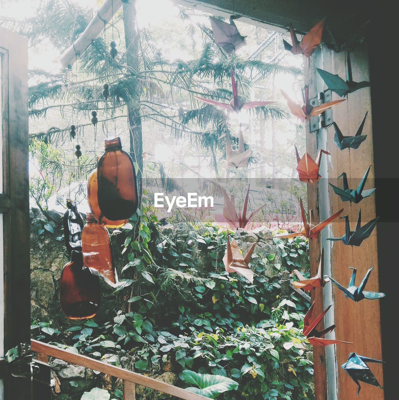 Paper cranes and bottles hanging by window