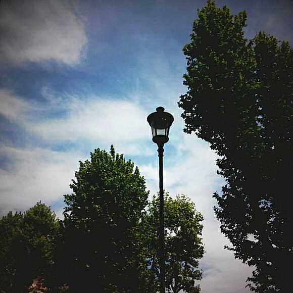 LOW ANGLE VIEW OF TREES AND STREET LIGHT AGAINST CLOUDY SKY