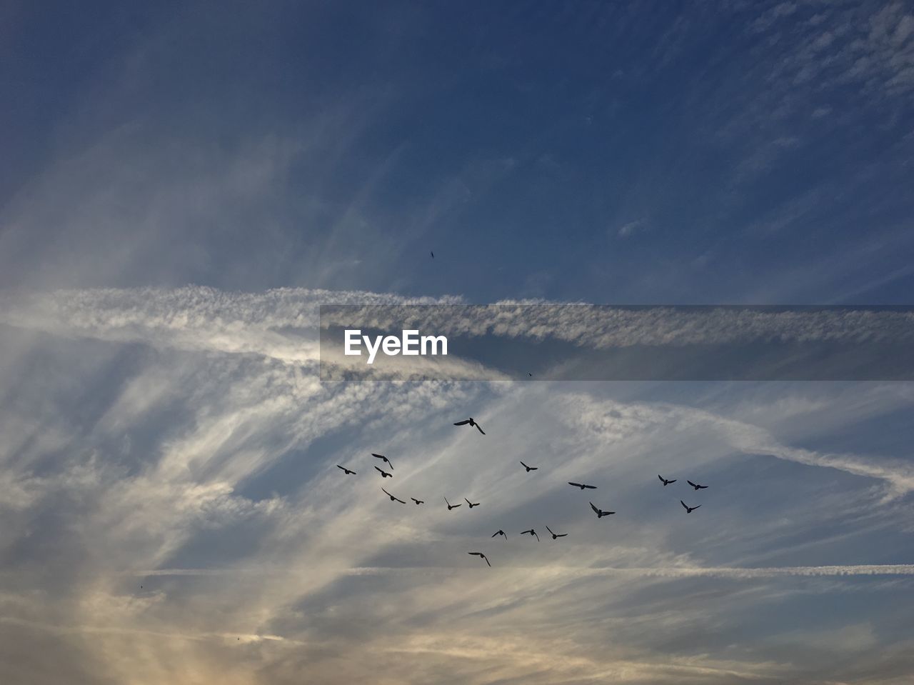 LOW ANGLE VIEW OF AIRSHOW AGAINST SKY