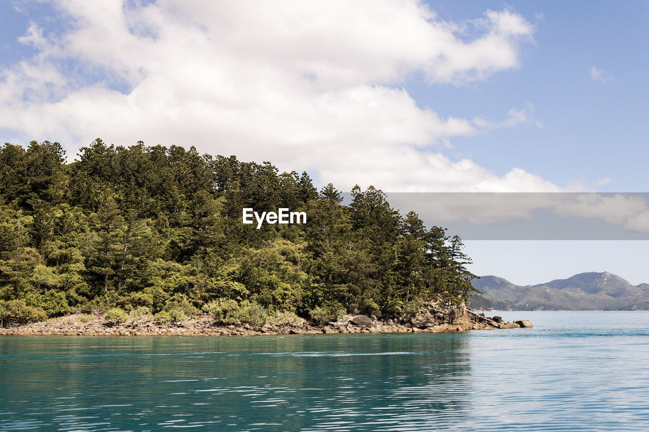 Scenic view of sea and trees against sky