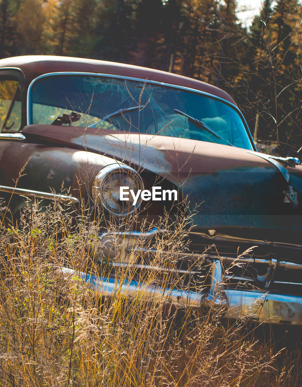 Close-up of abandoned car parked in field