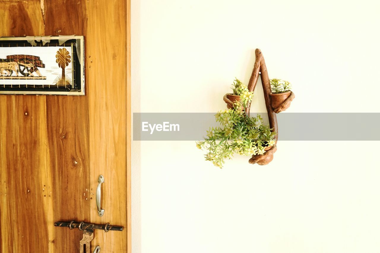 Potted plants hanging on wall at home