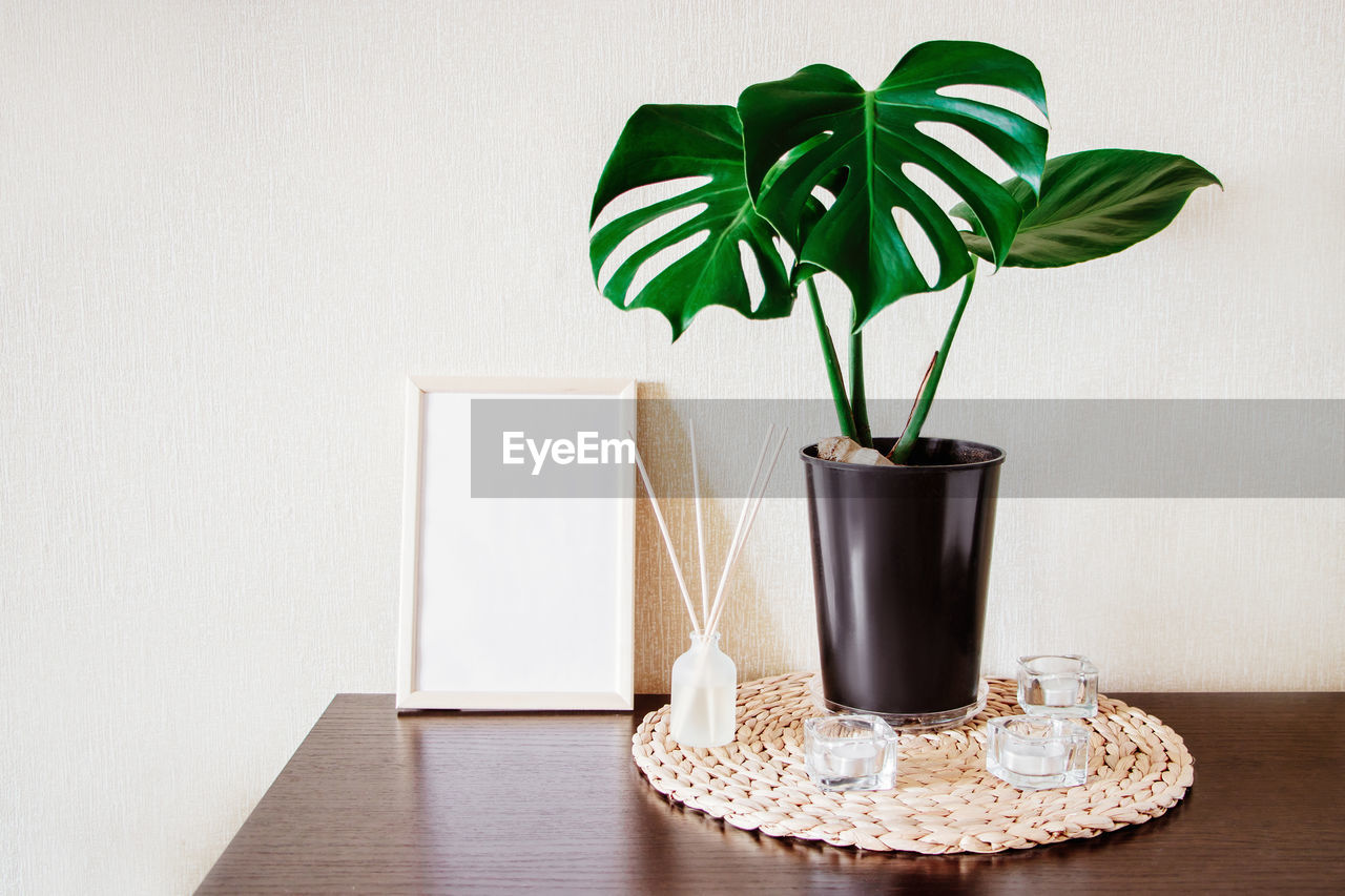 Potted monstera houseplant and eco-friendly aroma diffuser. stylish minimalist home decor. 