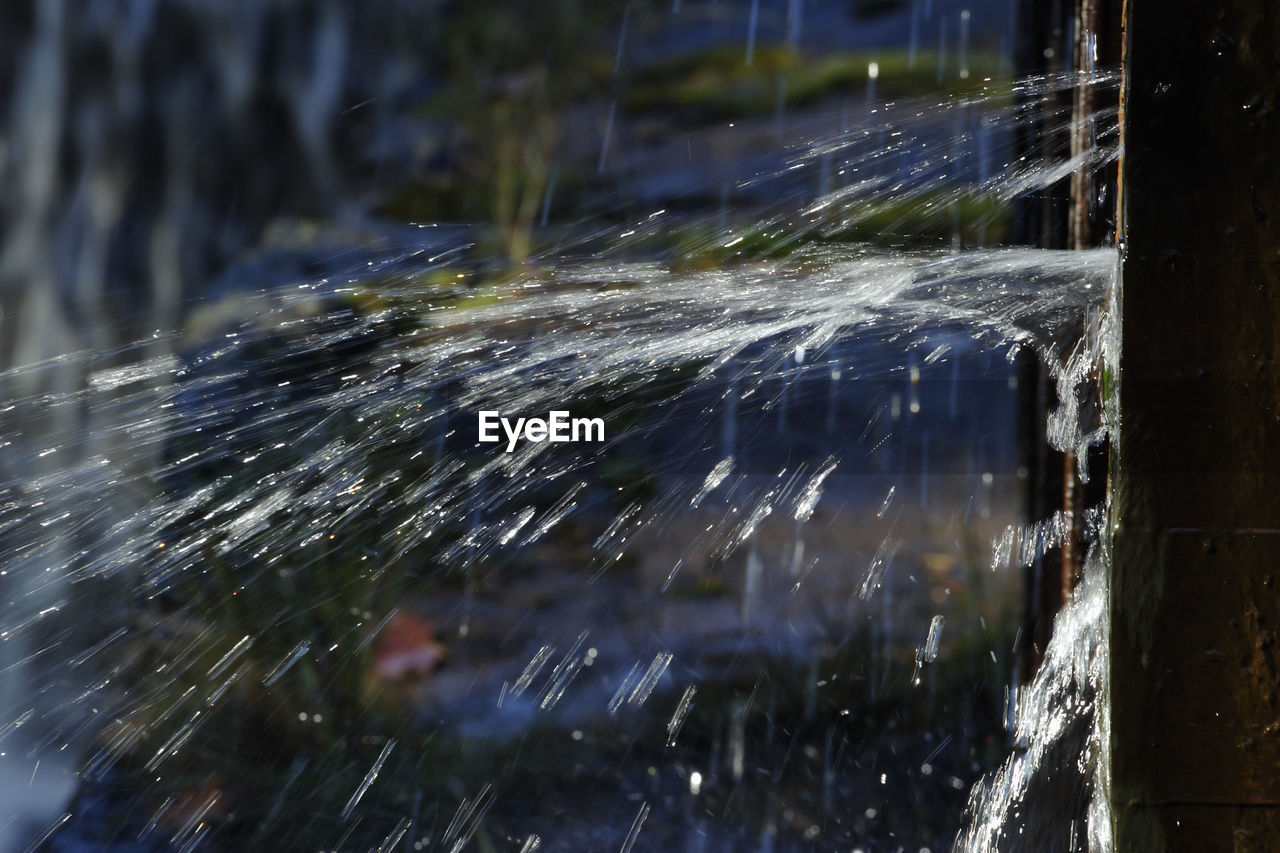 BLURRED MOTION OF WATER DROPS ON PLANTS