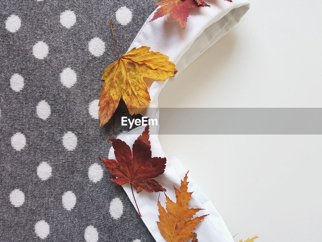 CLOSE-UP OF DRY MAPLE LEAF ON FLOOR