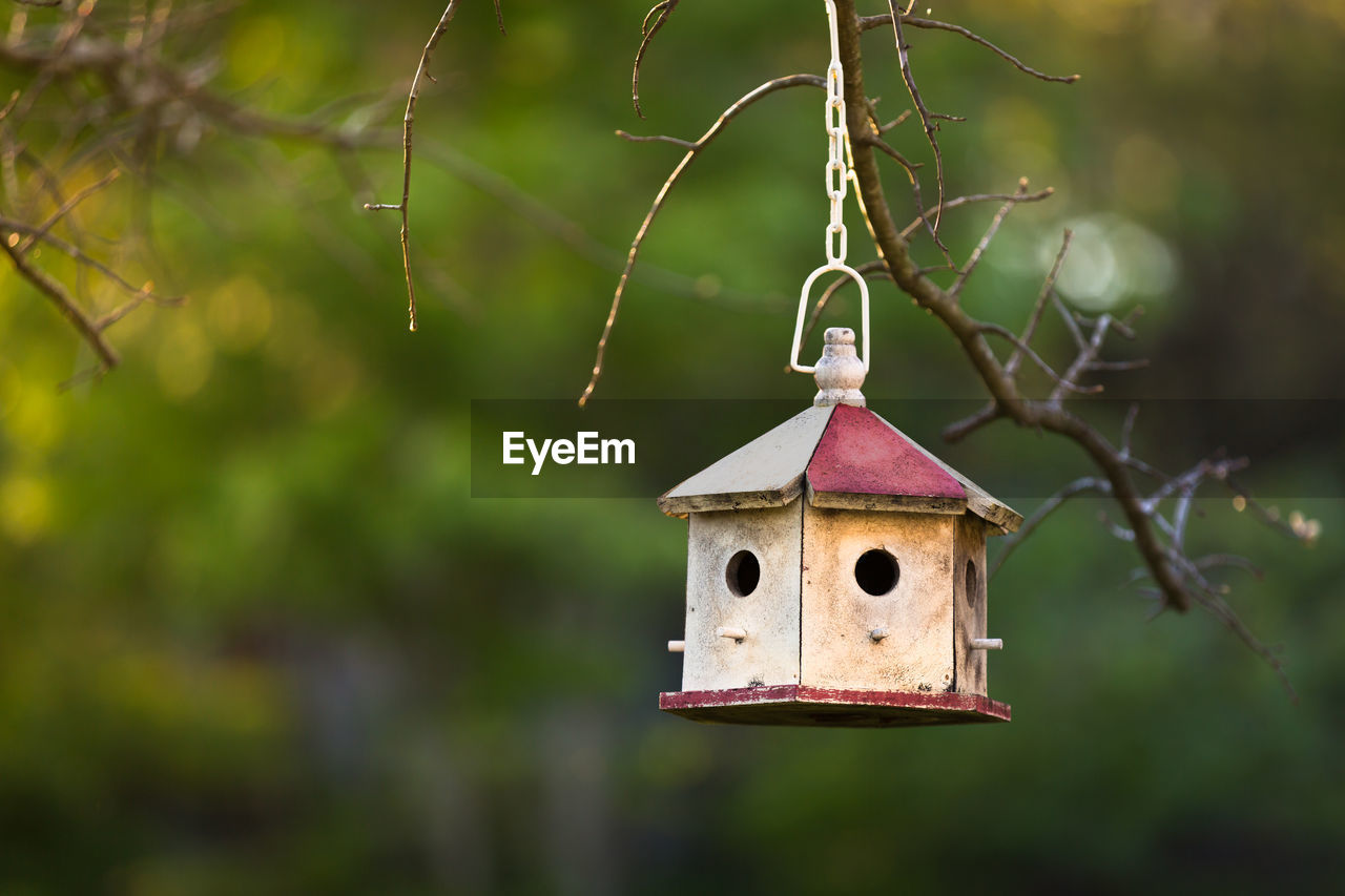 Close-up of birdhouse hanging from tree branch